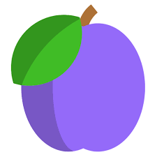 Medplum 